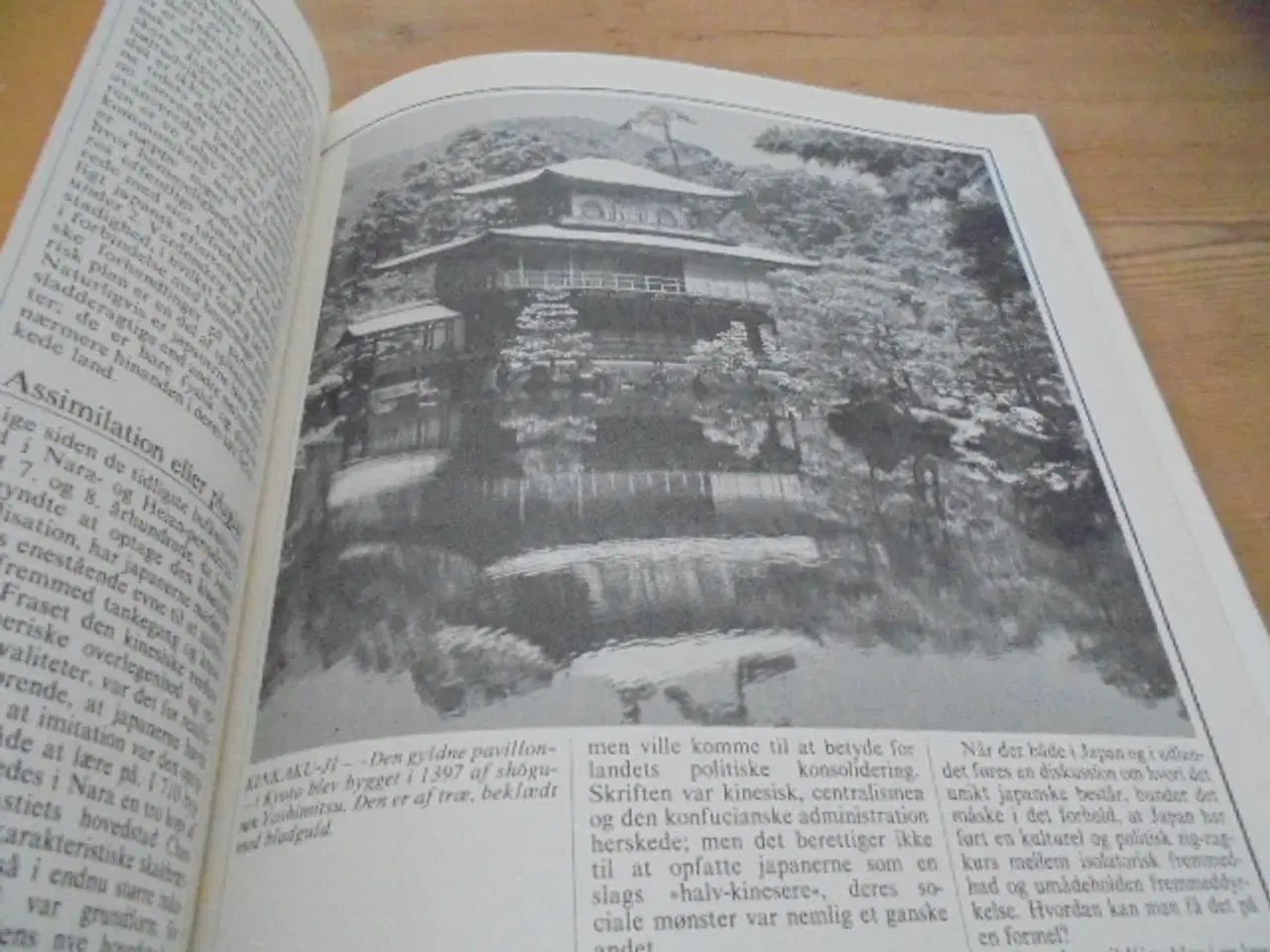 Billede 7 - Japan – Sommerudstilling i Brede 1983