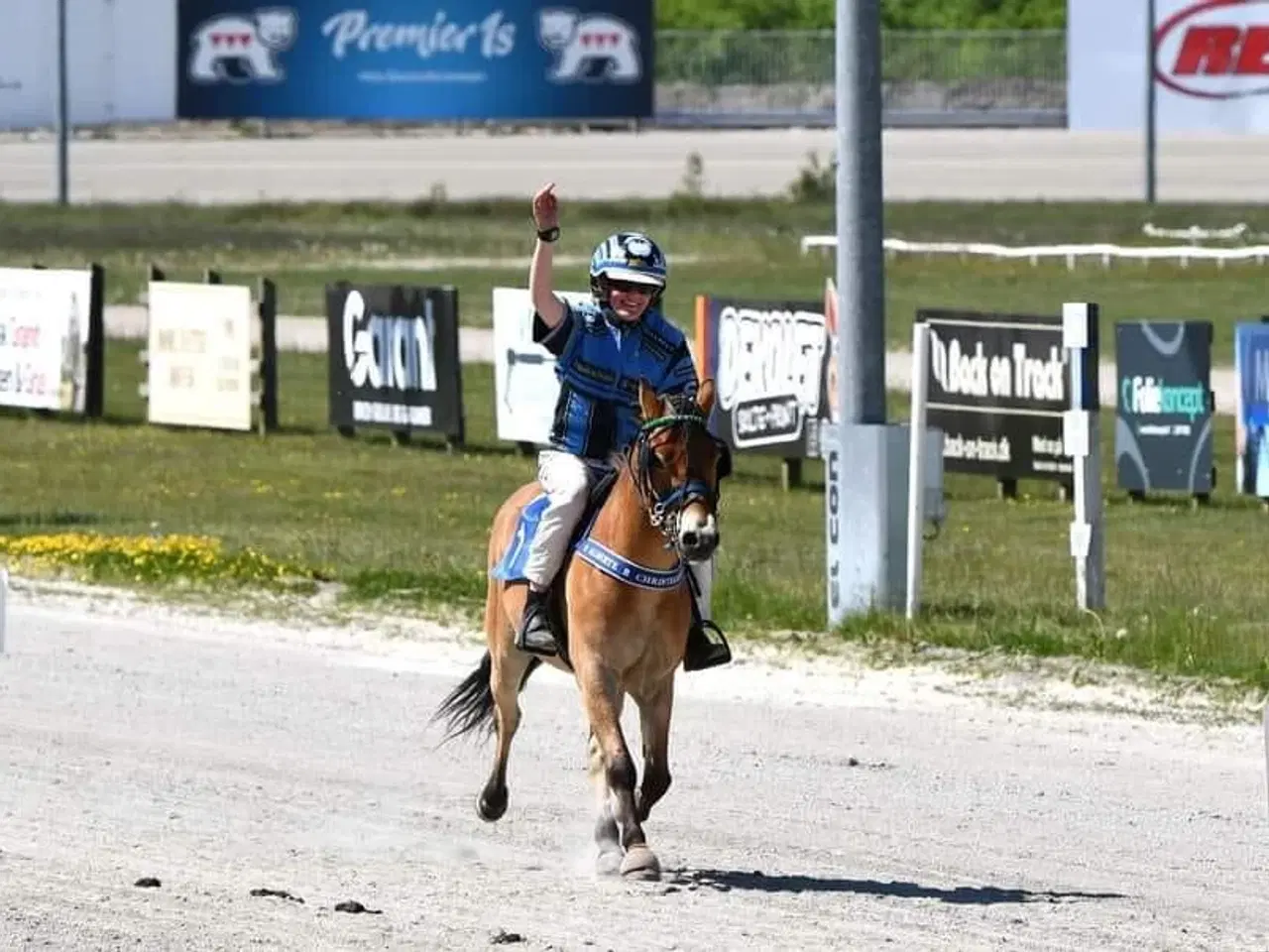 Billede 3 - PONY SÆGLES 