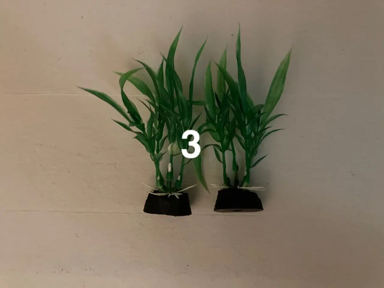 Billede 4 - Plastiskplanter