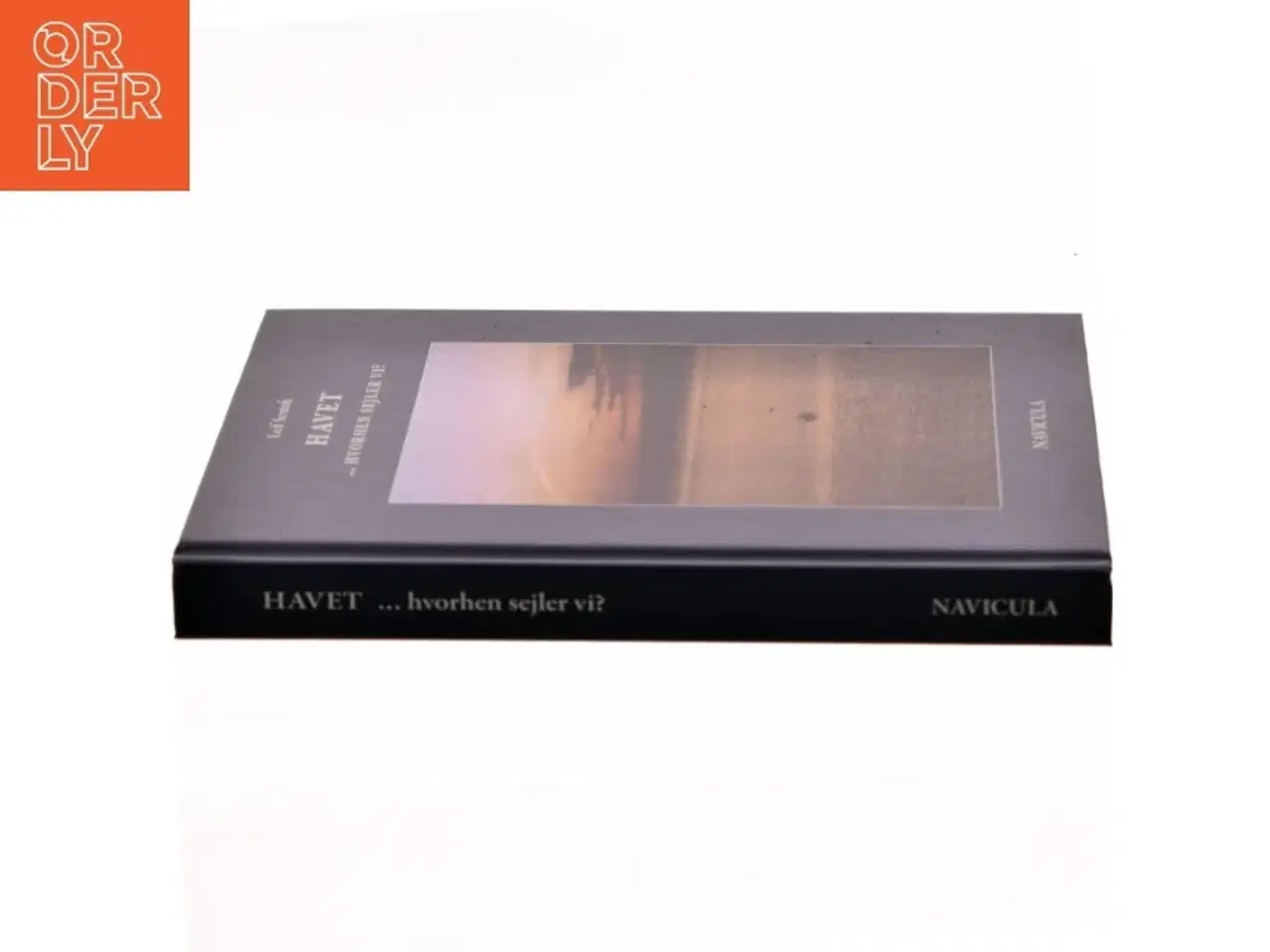 Billede 2 - Havet - hvorhen sejler vi? : illustreret med sindbilleder og evighedsbilleder af Leif Sestoft (Bog)