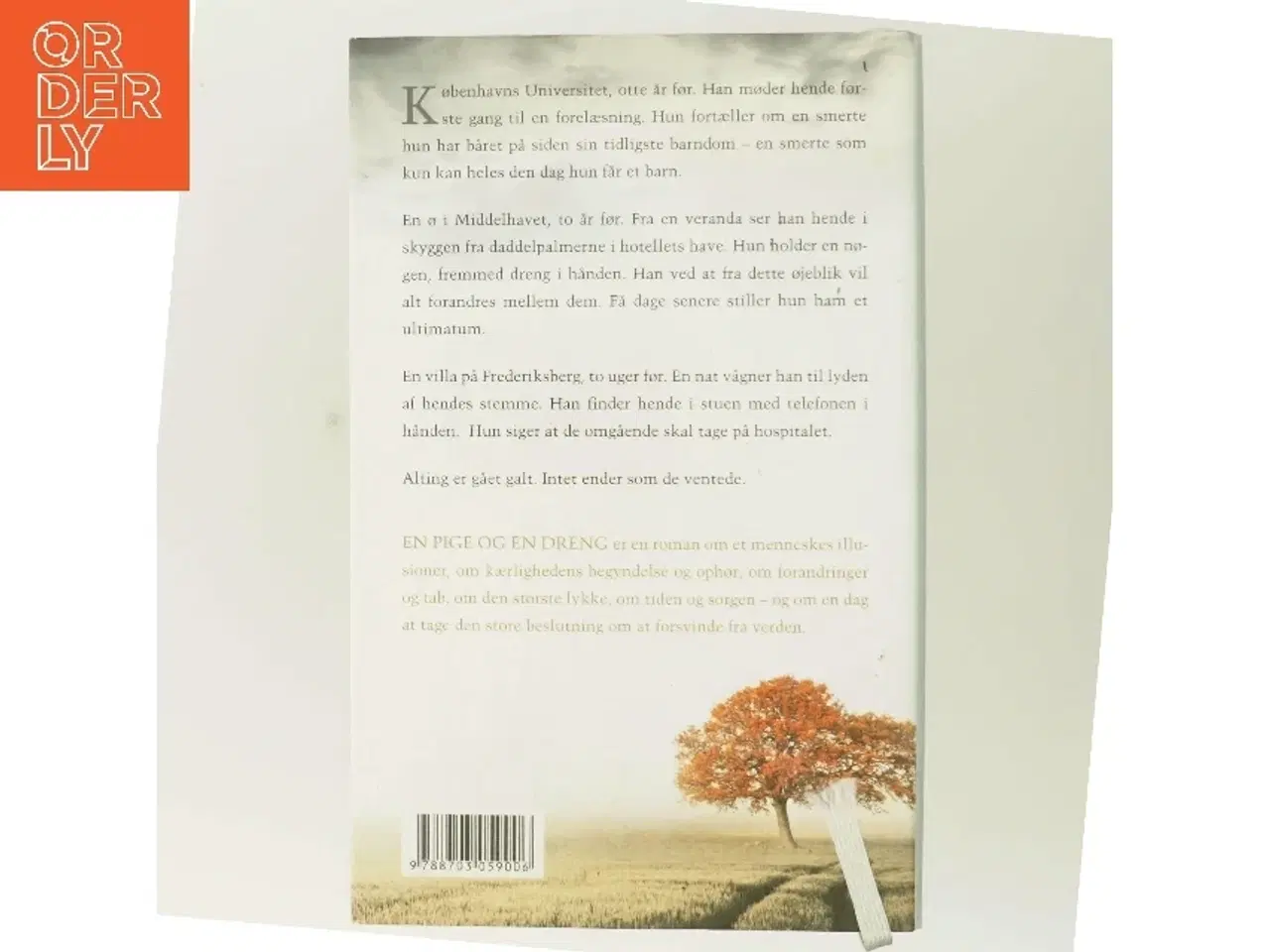 Billede 3 - En pige og en dreng af Morten Brask (Bog)