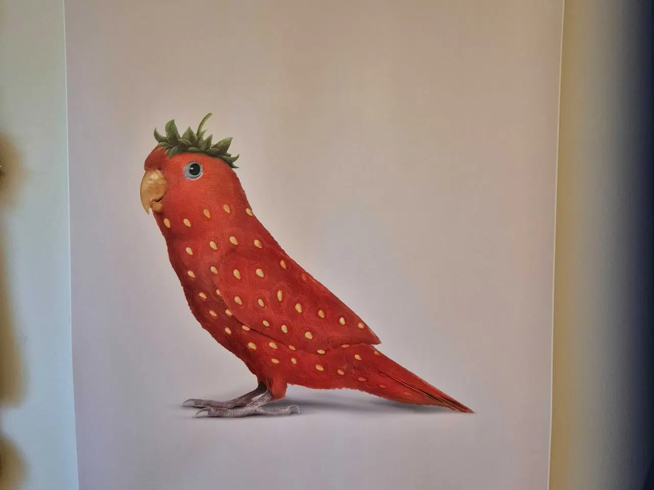 Billede 2 - Strawbirdy plakat