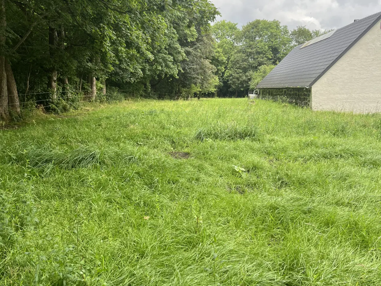 Billede 2 - Opstaldning Aalborg 