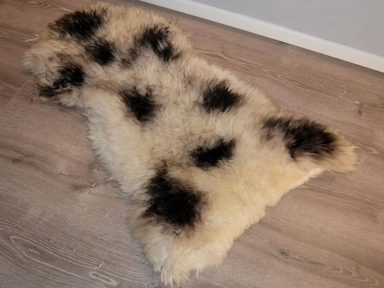 Billede 3 - Færøsk fåreskind