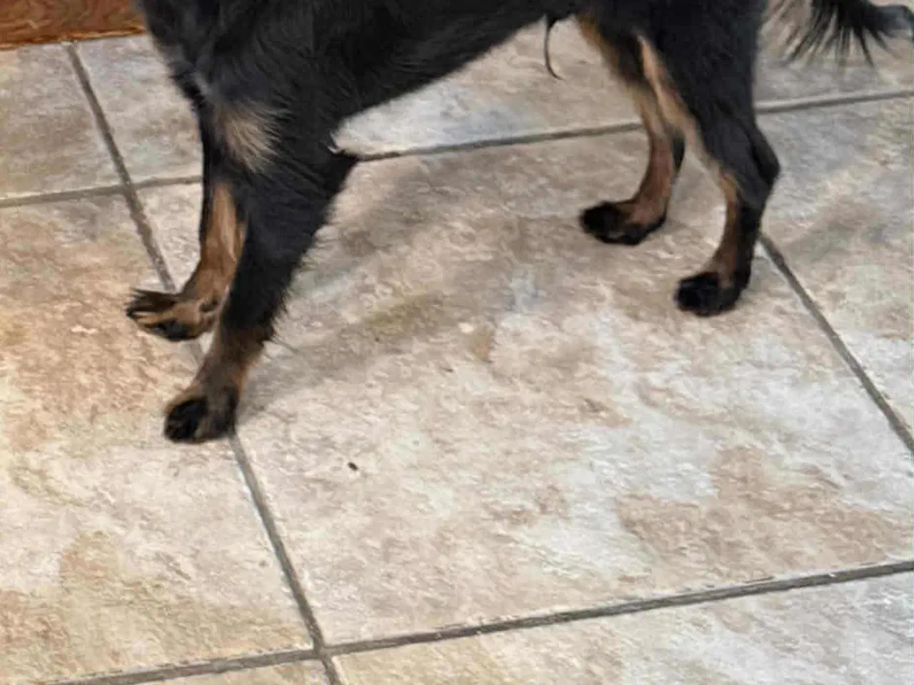 Billede 3 - Verdens sødeste hyggetrold 