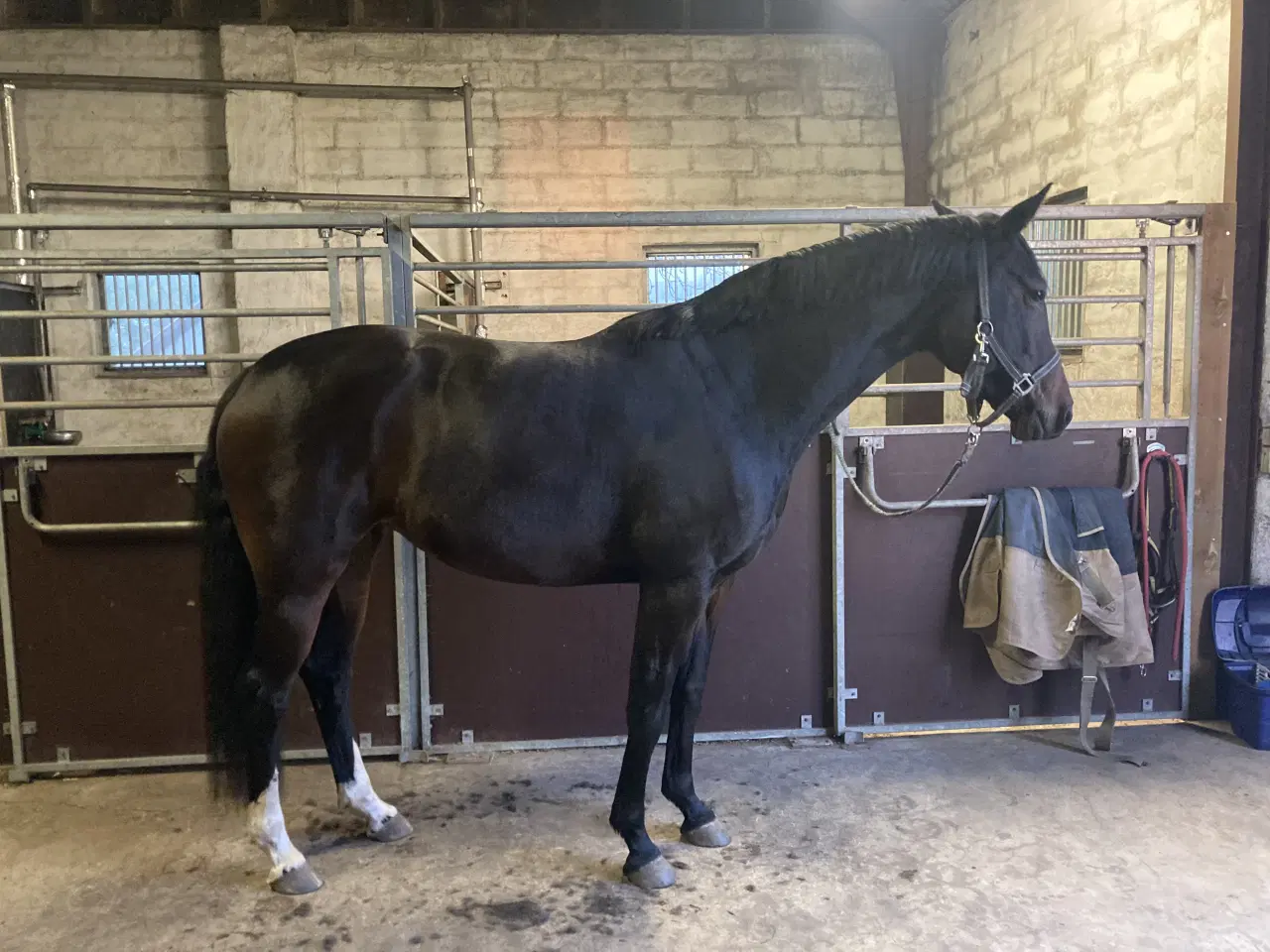 Billede 1 - Opstaldning tilbydes.Rolige og ordentlige forhold