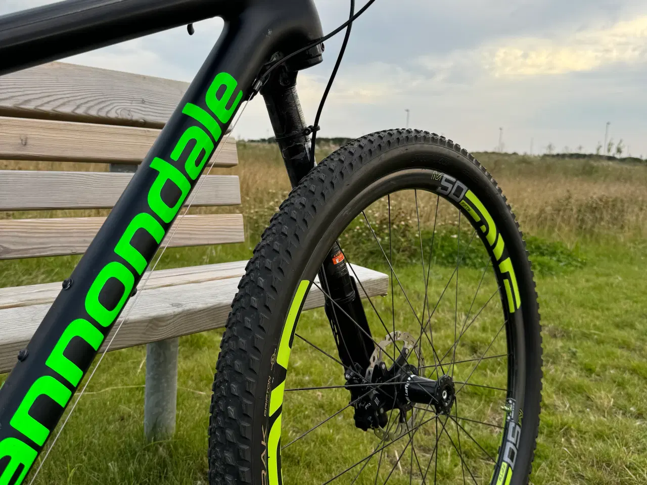 Billede 3 - Cannondale F-si mtb