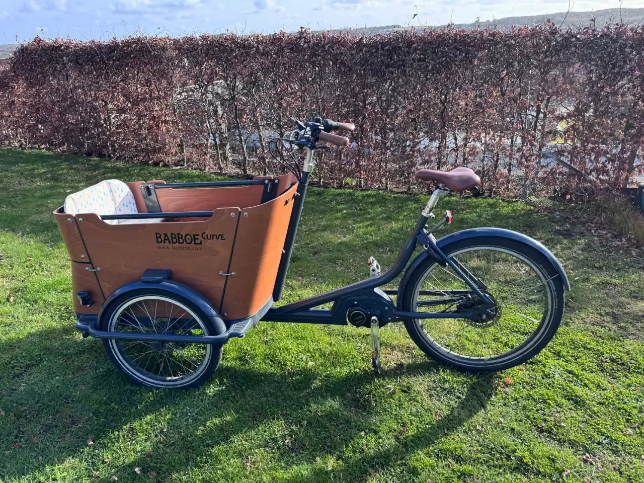 Billede 1 - Babboe Curve Mountain el-ladcykel