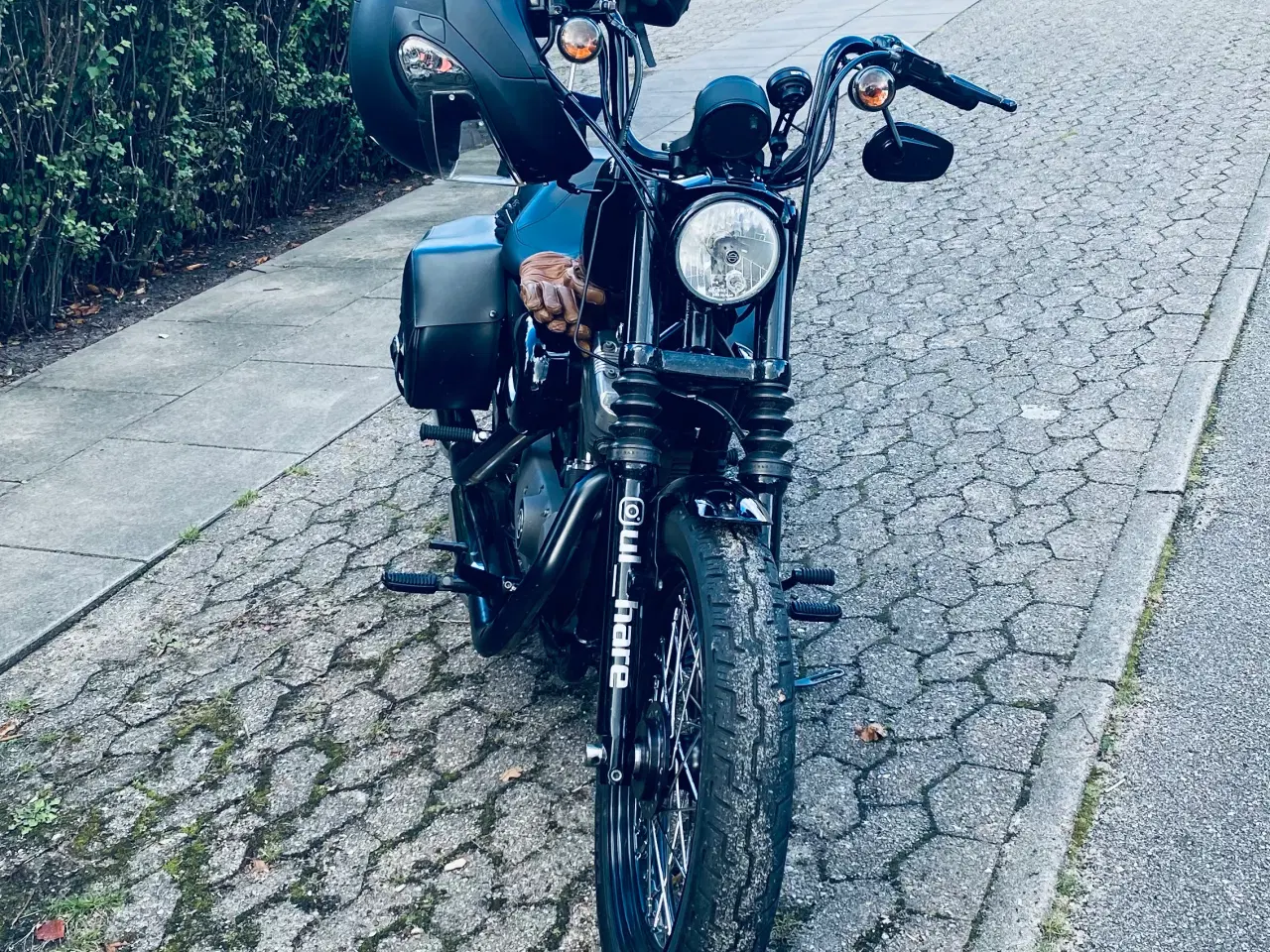 Billede 3 - Harley Davidson XL1200N