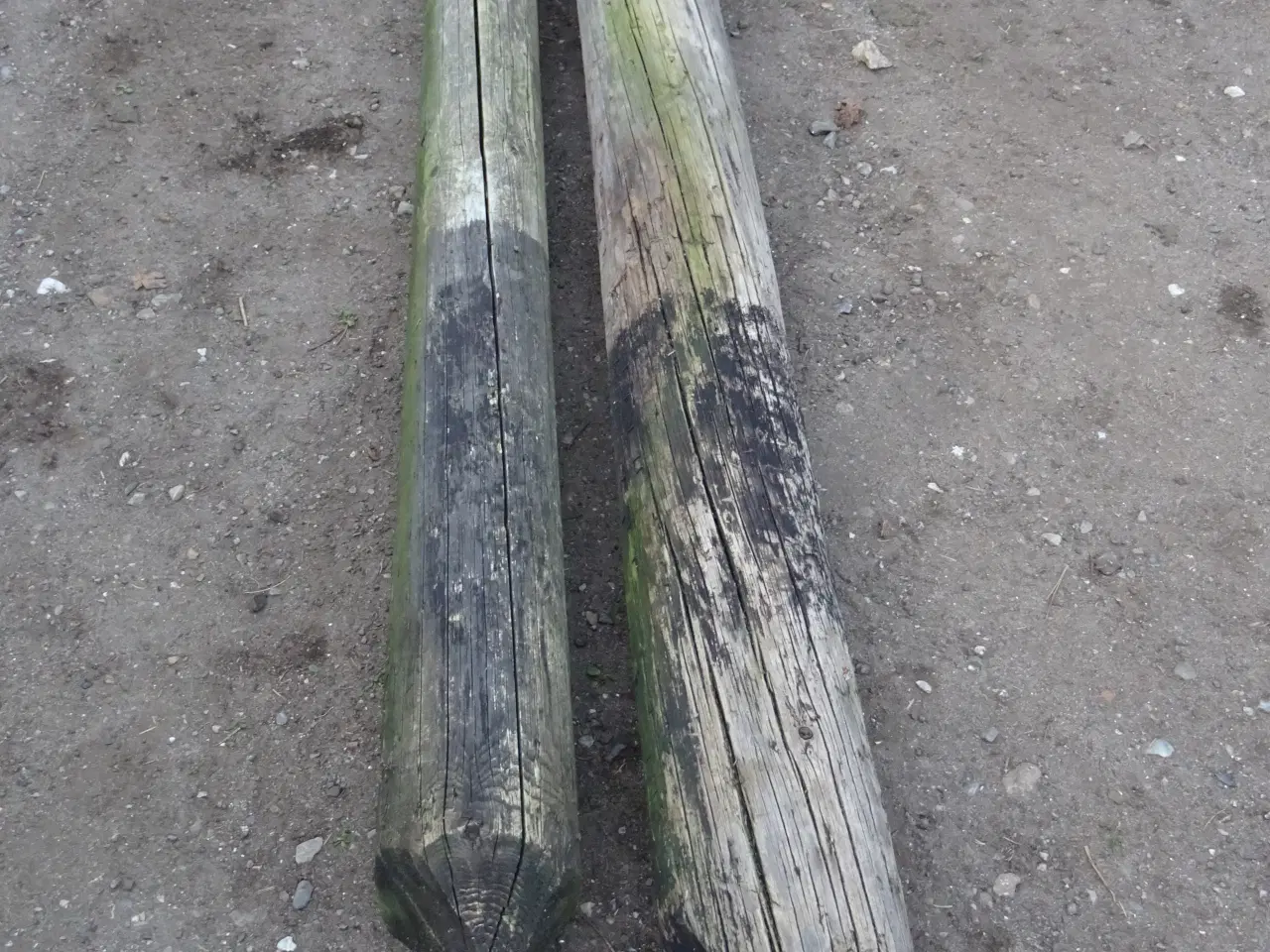 Billede 3 - Telefonpæle 2 stk på 225cm og 245cm lange