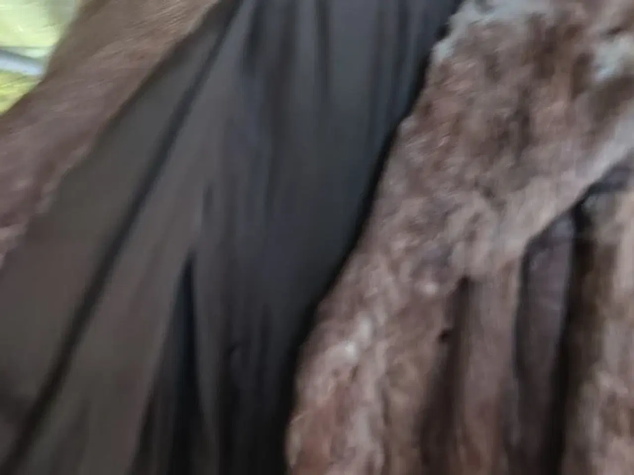 Billede 3 - Pels, Margit Brandt