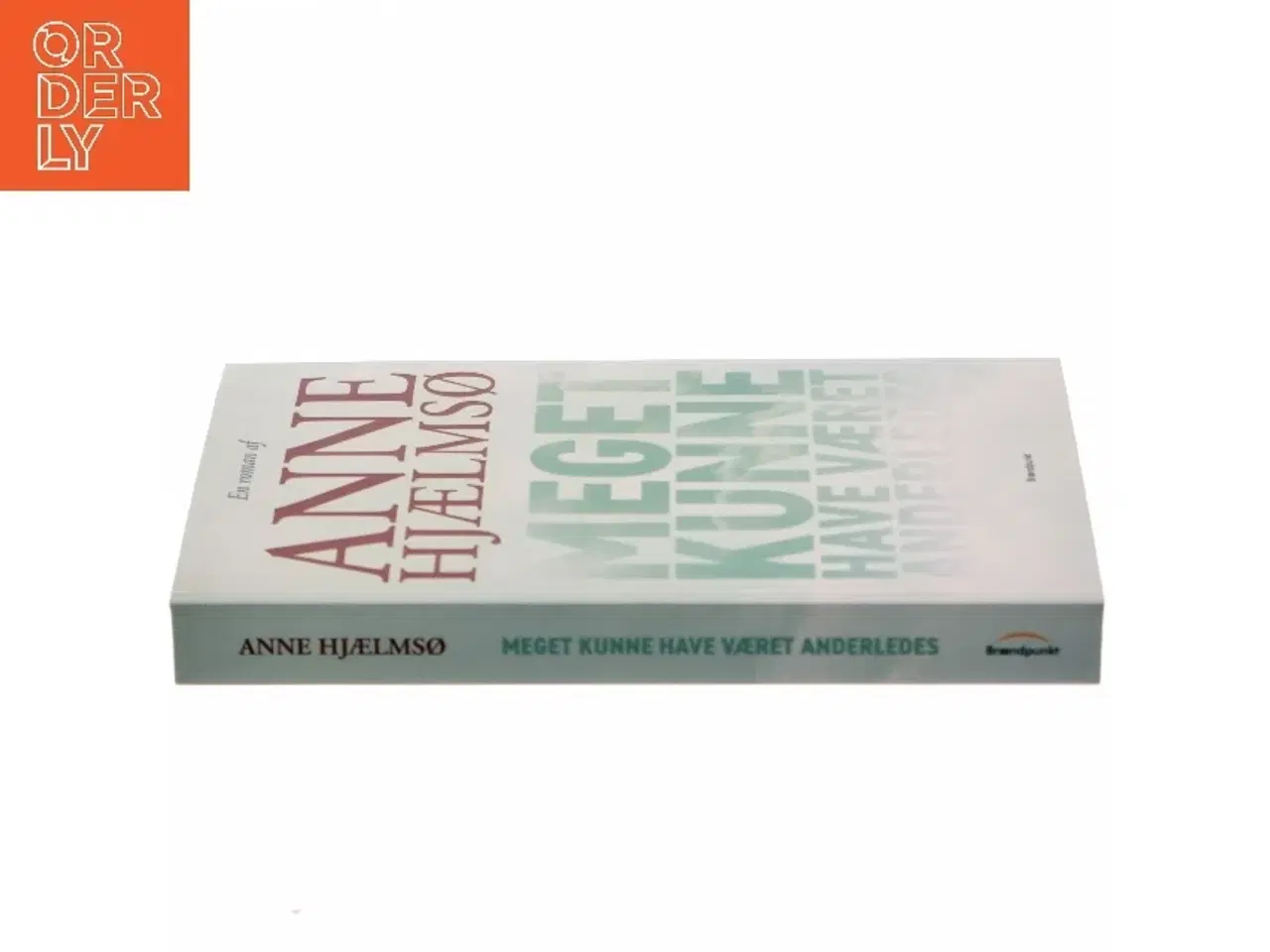 Billede 2 - Meget kunne have været anderledes : roman af Anne Hjælmsø (Bog)