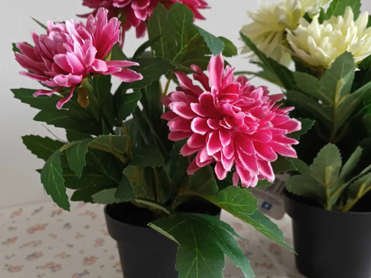 Billede 3 - Kunstige planter - 20 cm