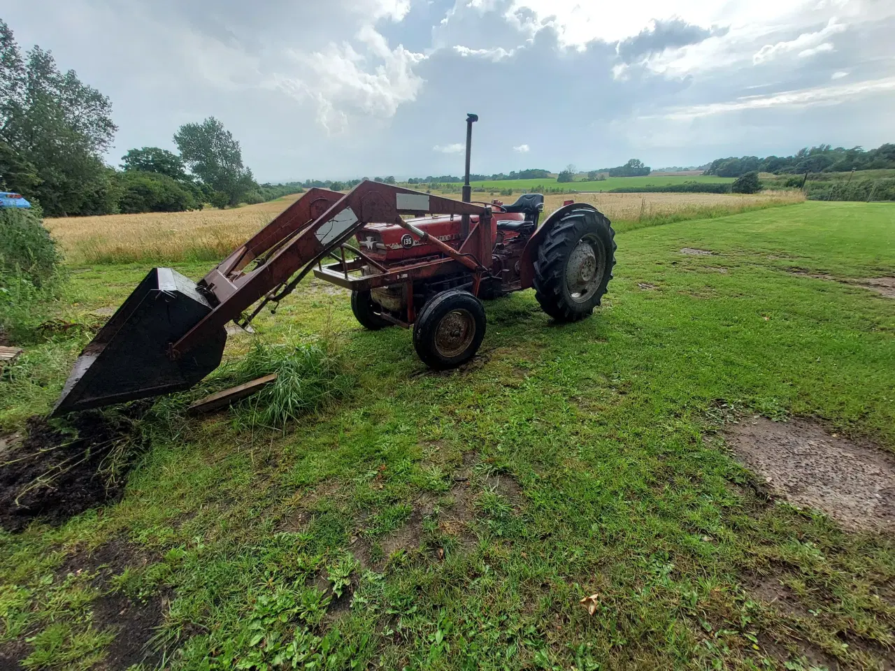 Billede 4 - MF 135 Diesel