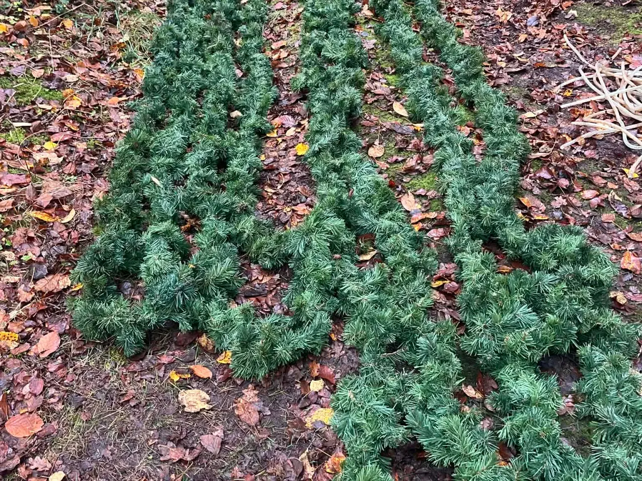 Billede 1 - Granner kunstige guirlander