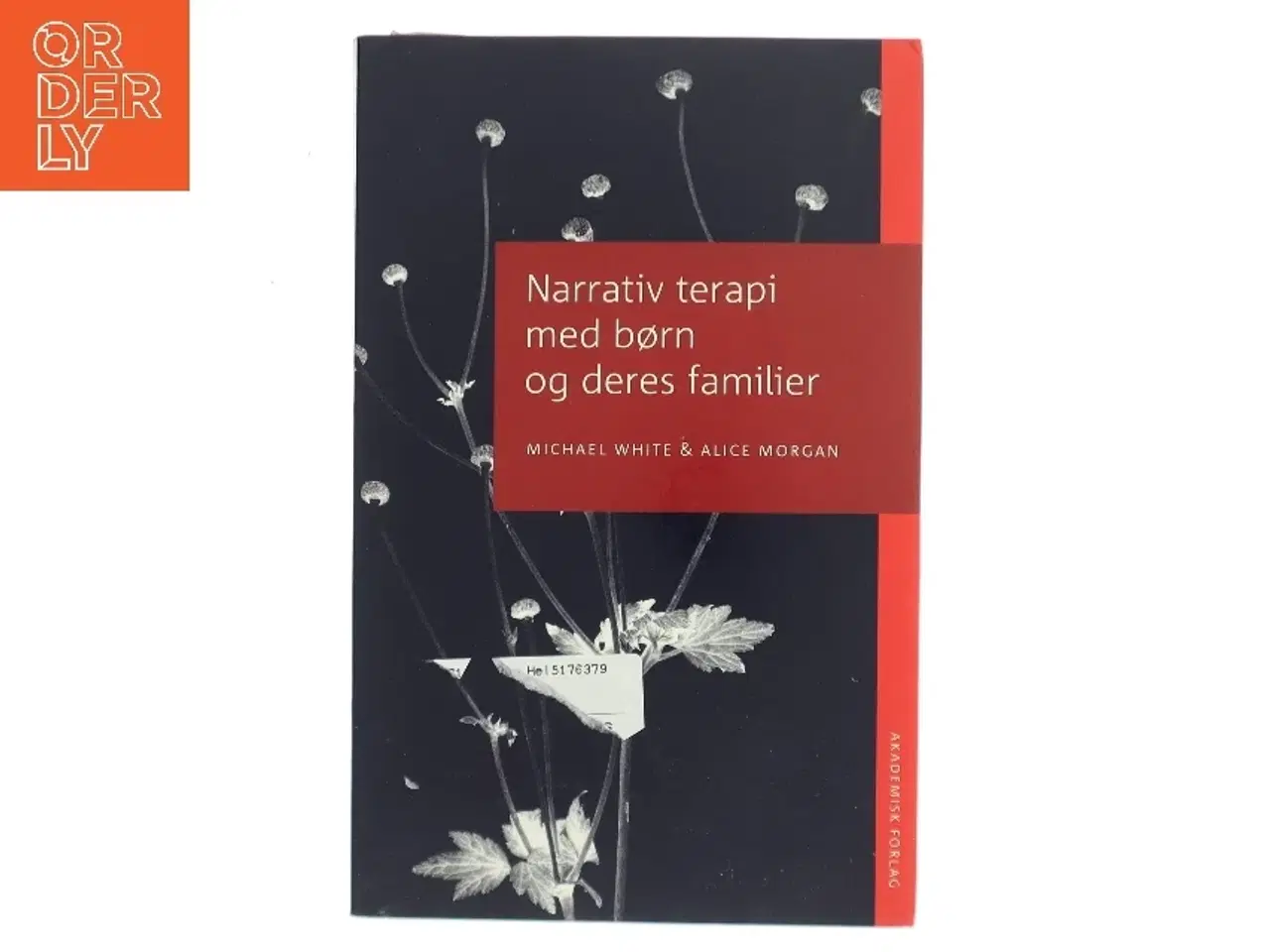 Billede 1 - Narrativ terapi med børn og deres familier (Bog)