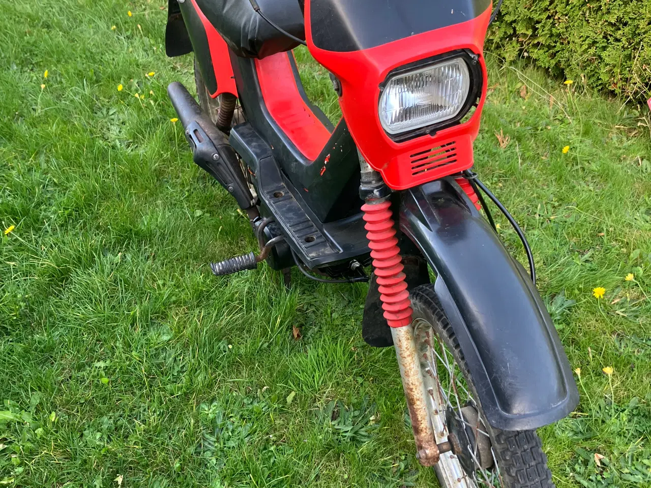 Billede 3 - Yamaha sting 