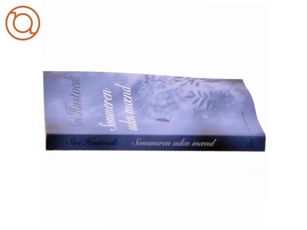 Billede 2 - Sommeren uden mænd : roman af Siri Hustvedt (Bog)