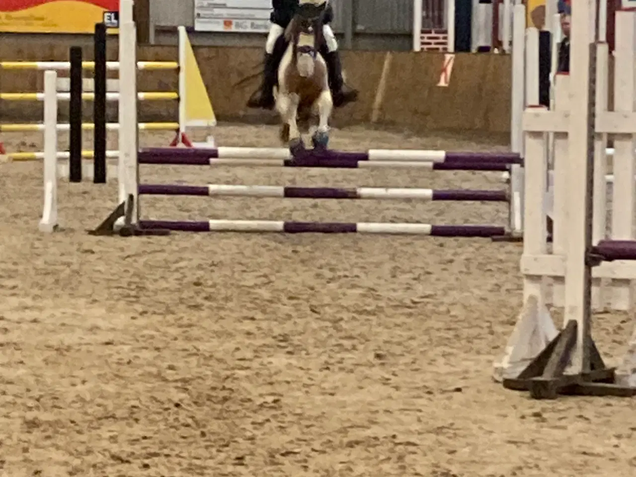 Billede 4 - Sød 2’er pony sælges 