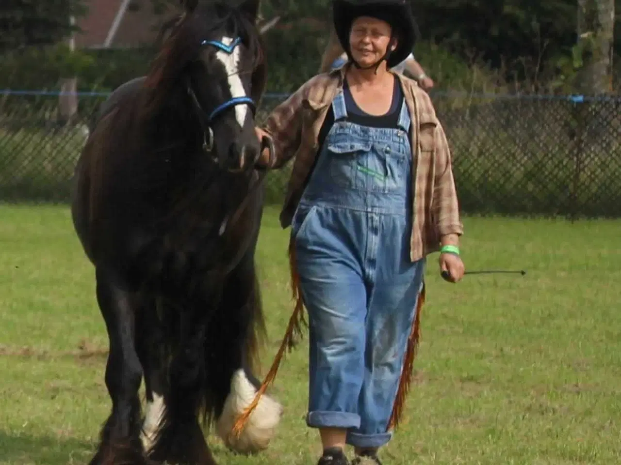 Billede 14 - Gypsy Vallak 