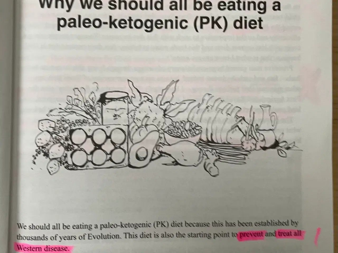 Billede 3 - Paleo-ketogenic: the why and the how 