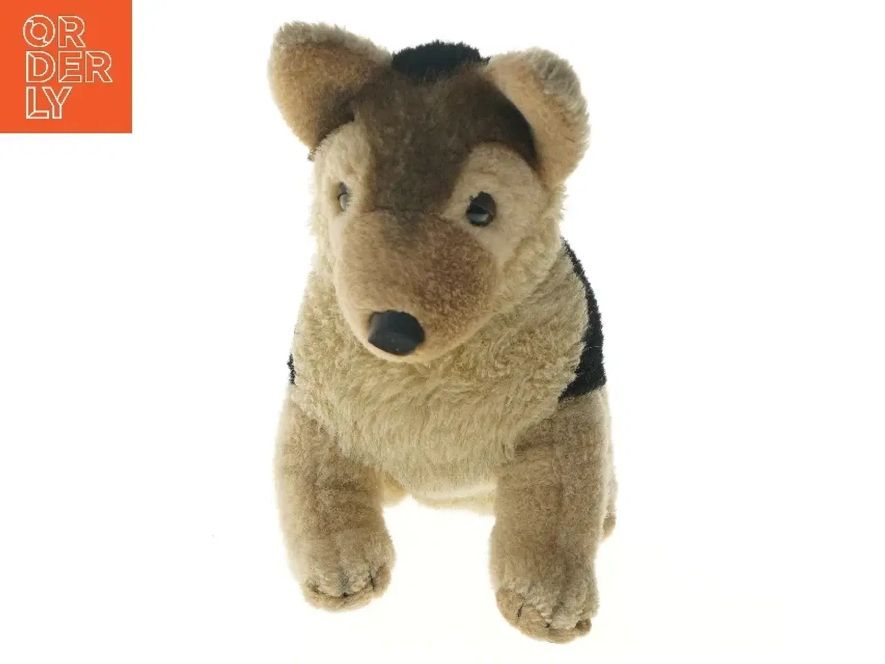 Billede 2 - Schæferhund Bamse