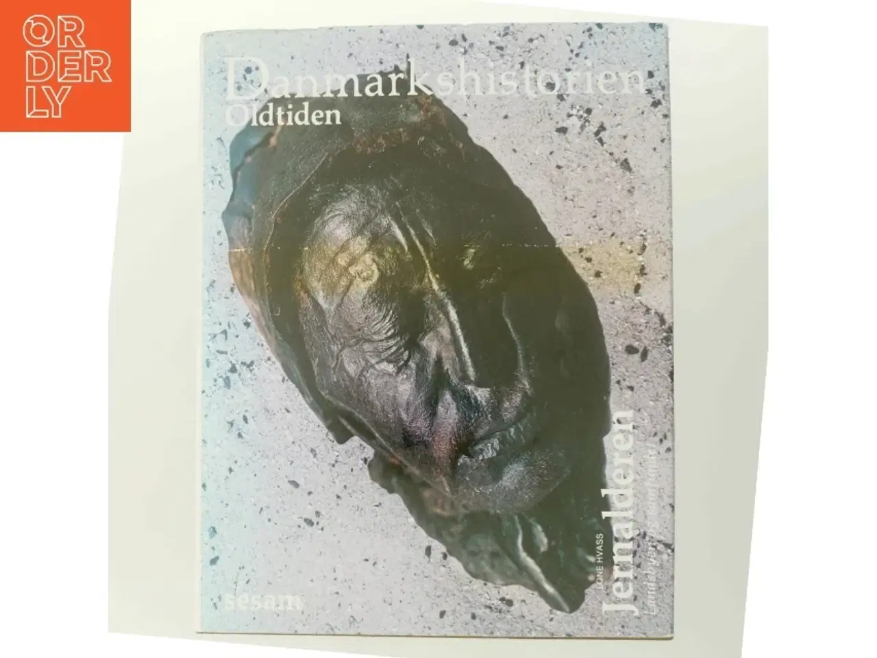 Billede 6 - Historiebog om Danmarks oldtid fra Sesam