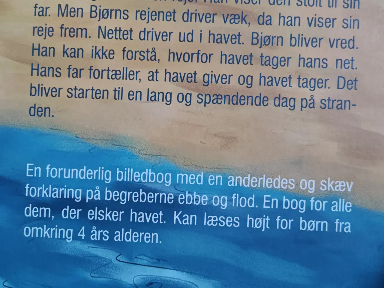 Billede 2 - Bjørn bliver vred på havet BOG
