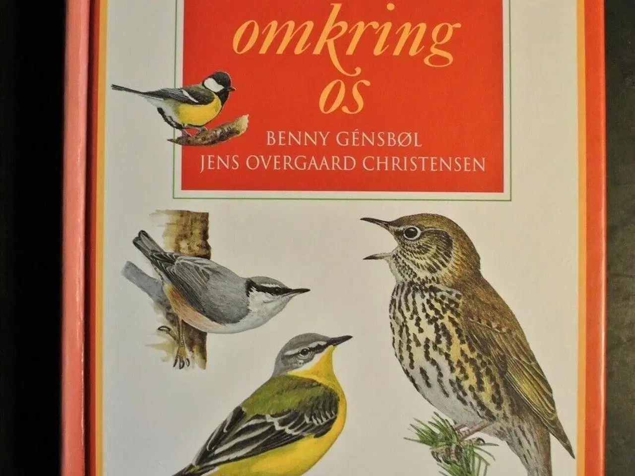 Billede 1 - fuglene omkring os, Af benny gensbøl. ill. af jens