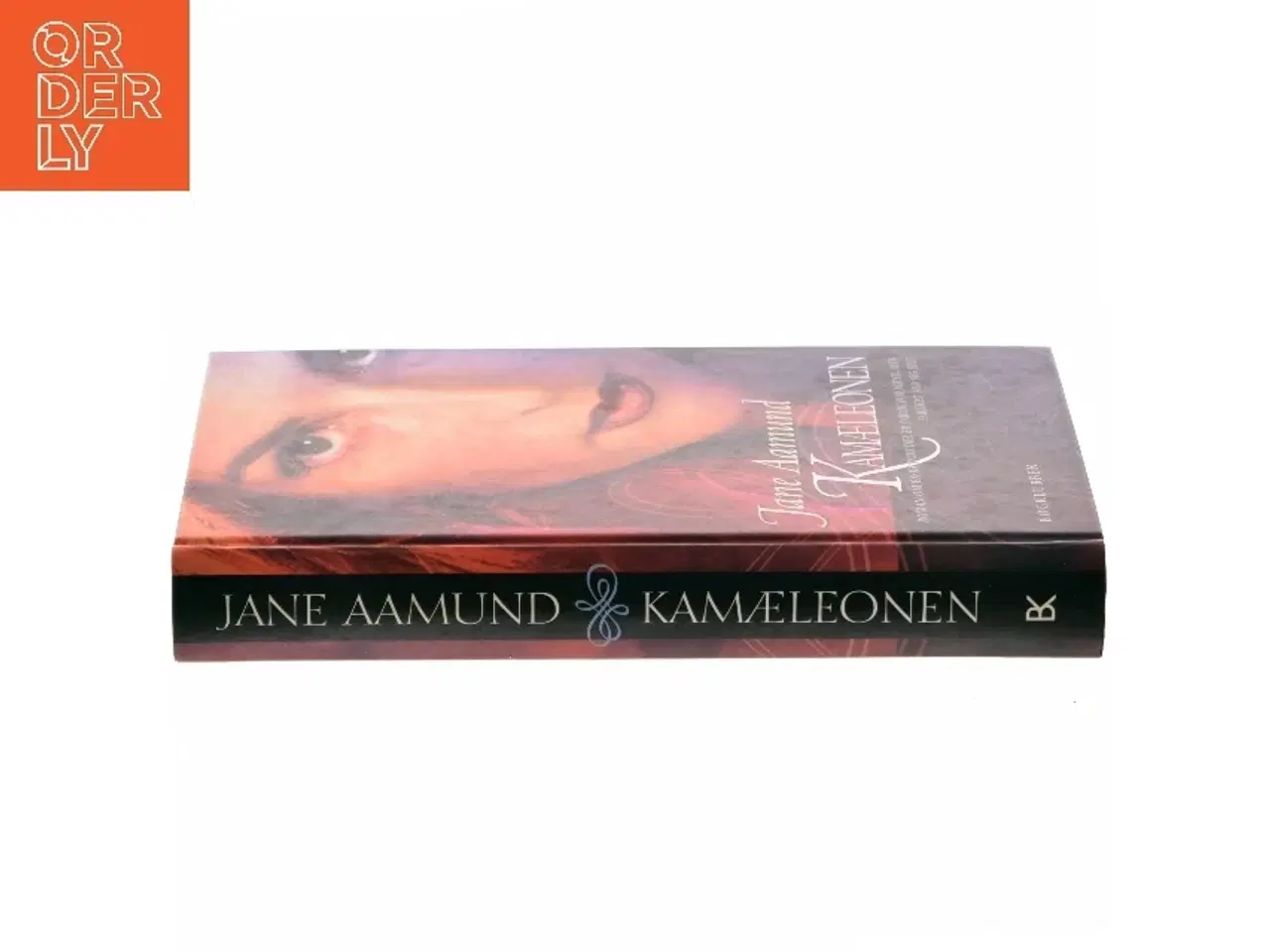 Billede 2 - Kamæleonen af Jane Aamund (Bog)