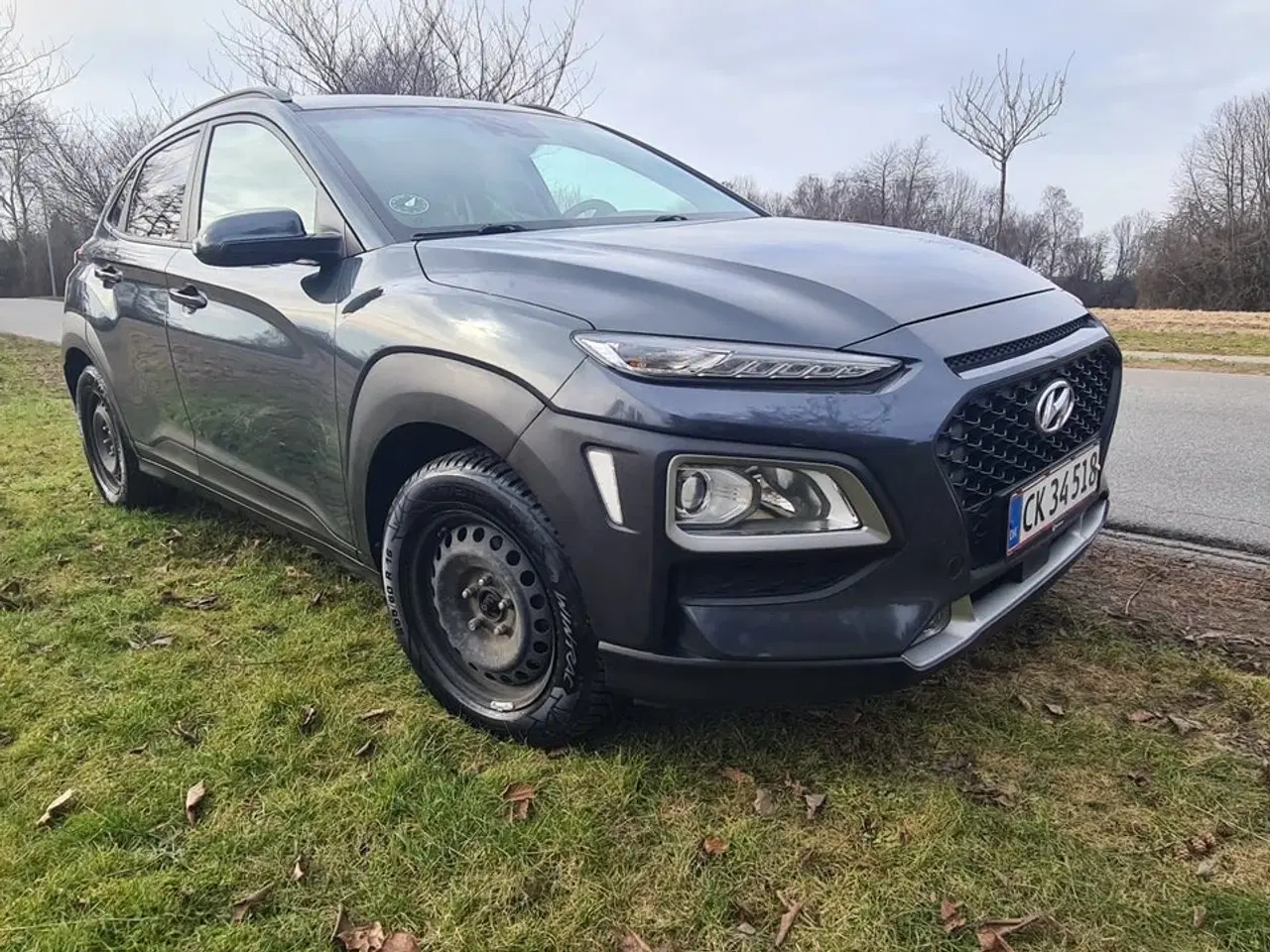 Billede 1 - Hyundai Kona 1,0 T-GDi Trend