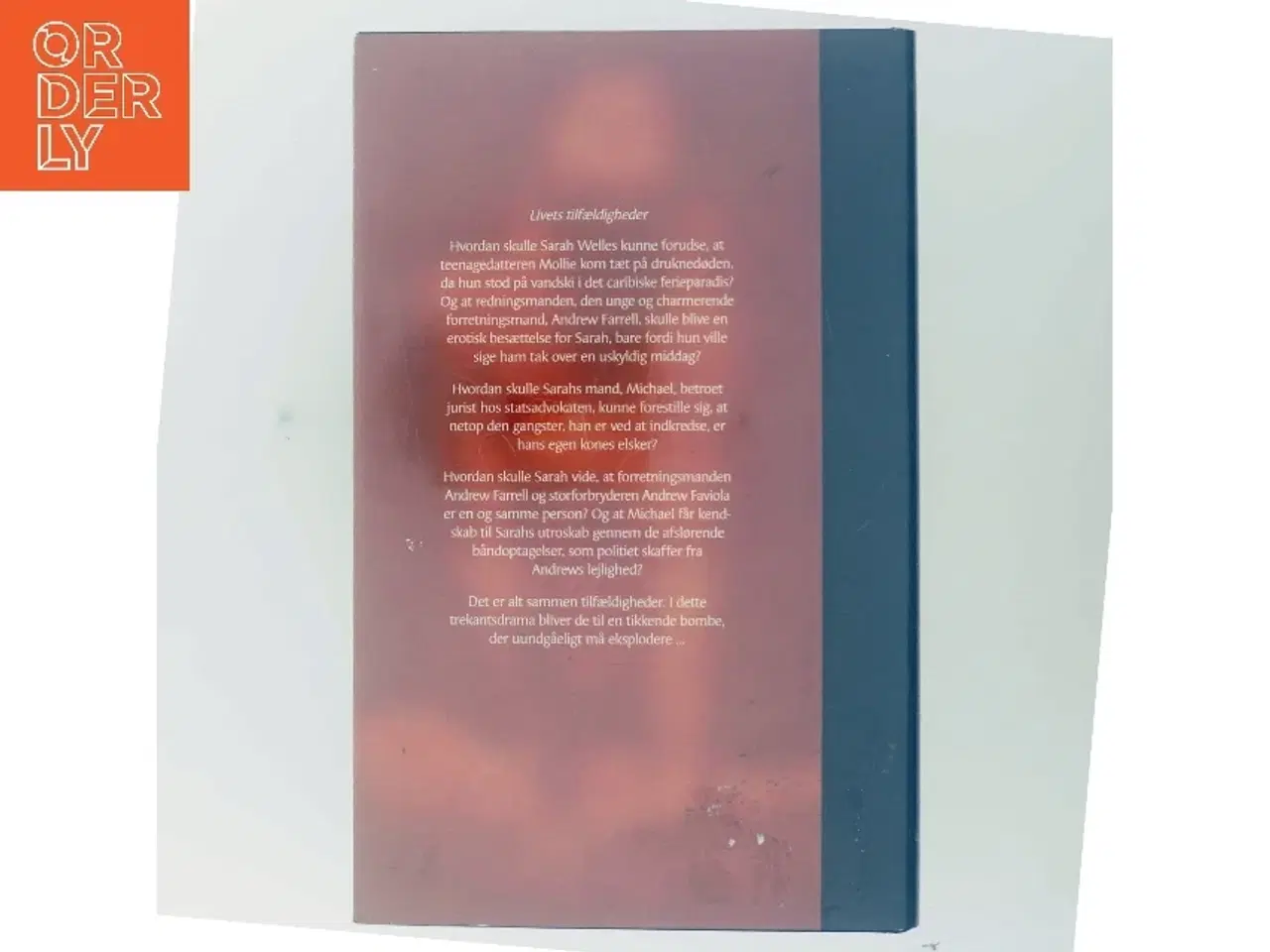 Billede 3 - En kritisk affære (bog)