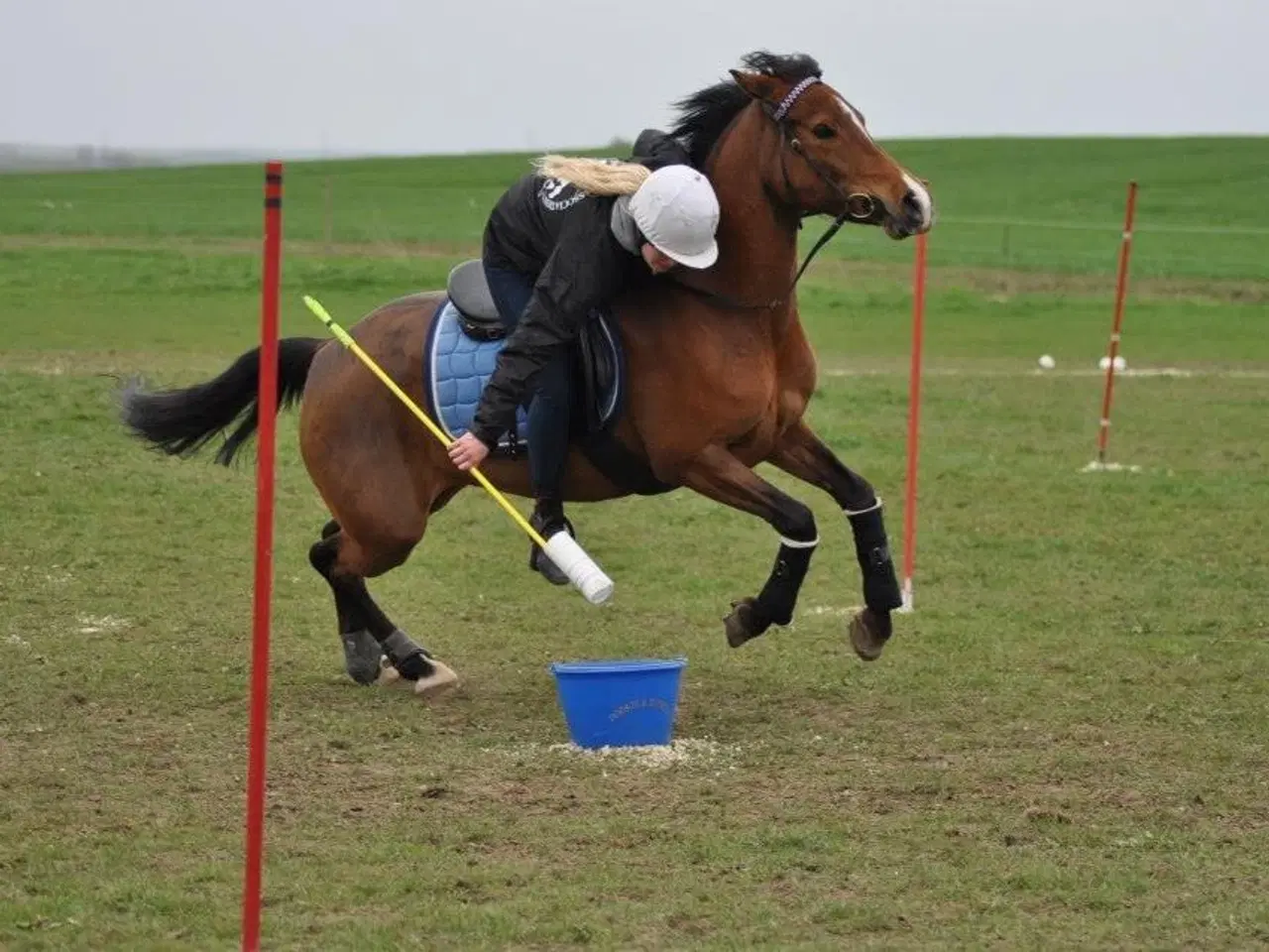 Billede 4 - Forår/sommerprojekt