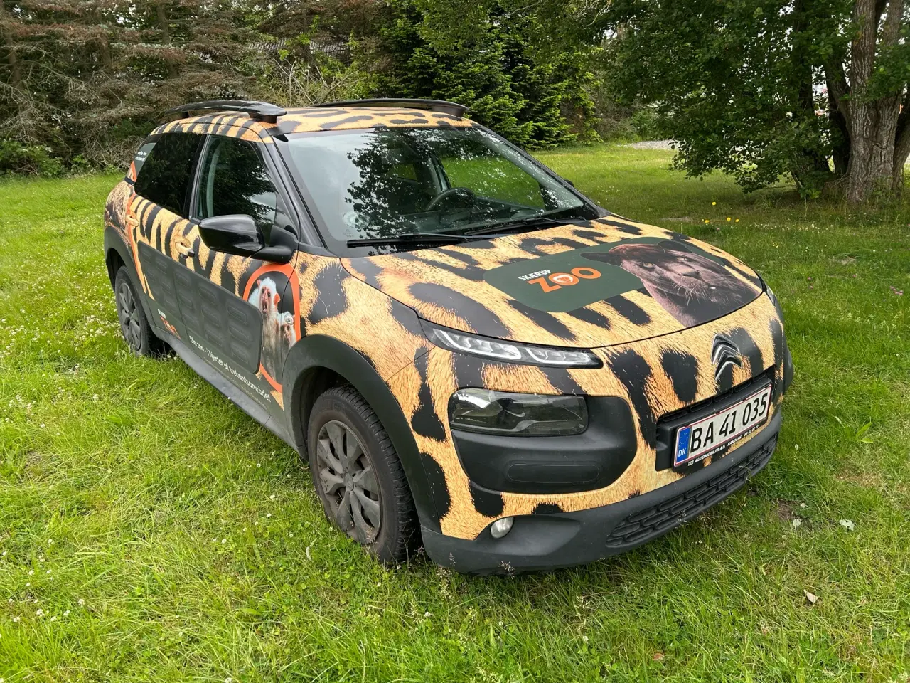 Billede 6 - Citroën C4 Cactus 1,6 Blue HDi Shine start/stop 100HK 5d