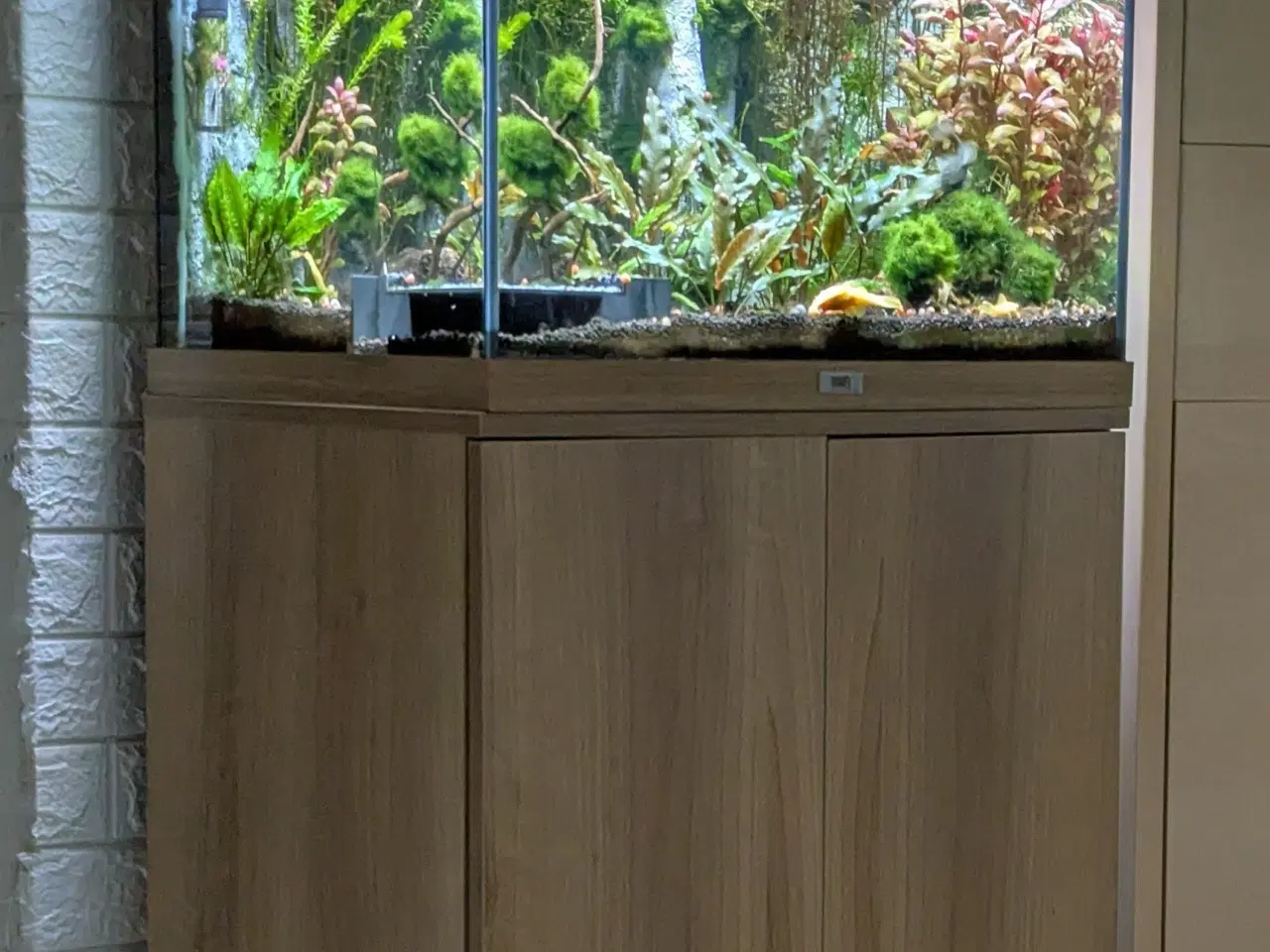 Billede 1 - Juwel akvarie 125L