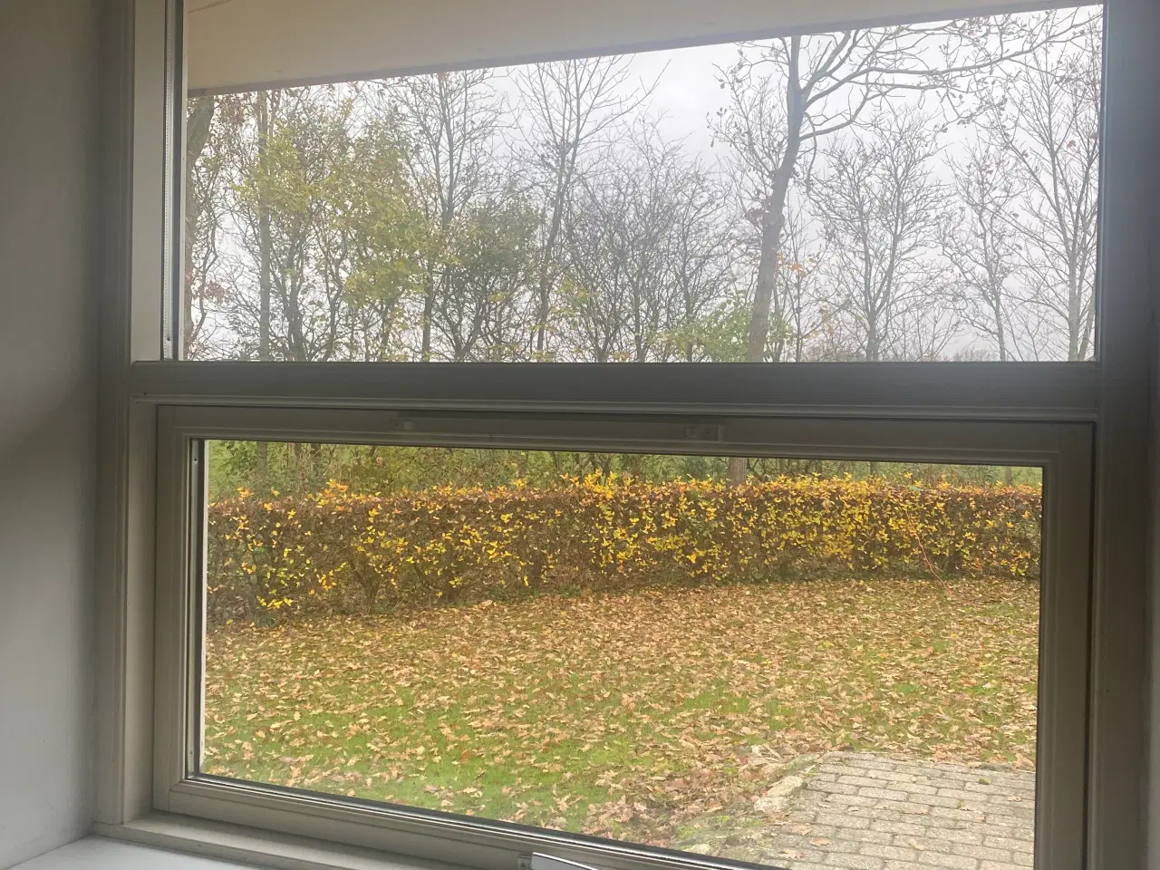 Billede 3 - Vinduer 