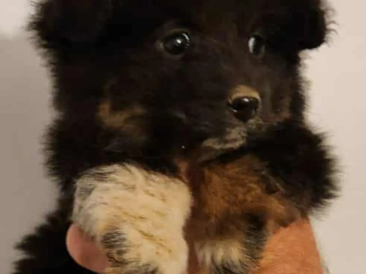 Billede 5 - Charme selvtillid og lækkert hår