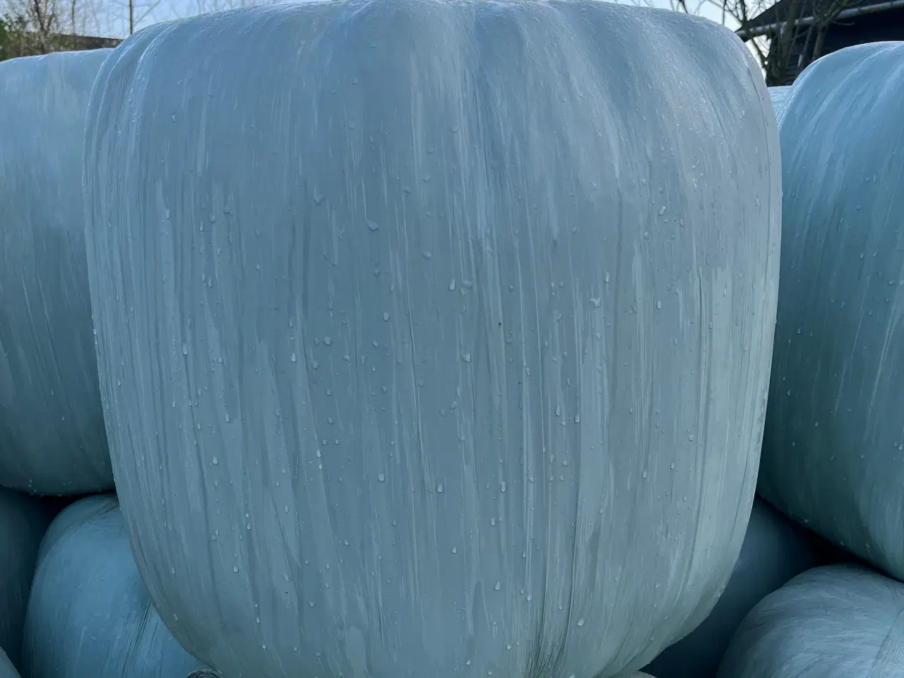 Billede 1 - Wrap i minirundballer