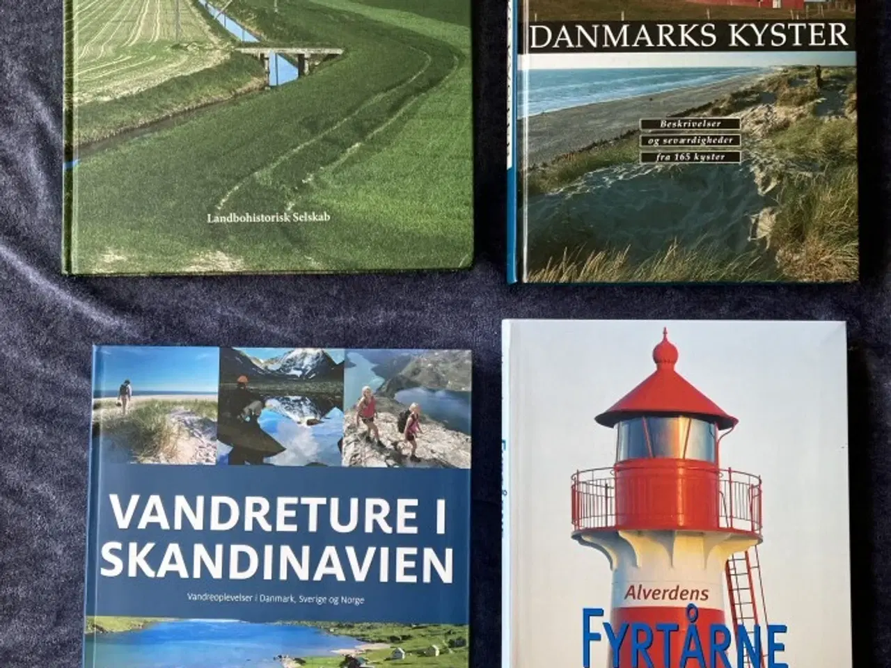 Billede 1 - Bøger om historie - se pris på hver