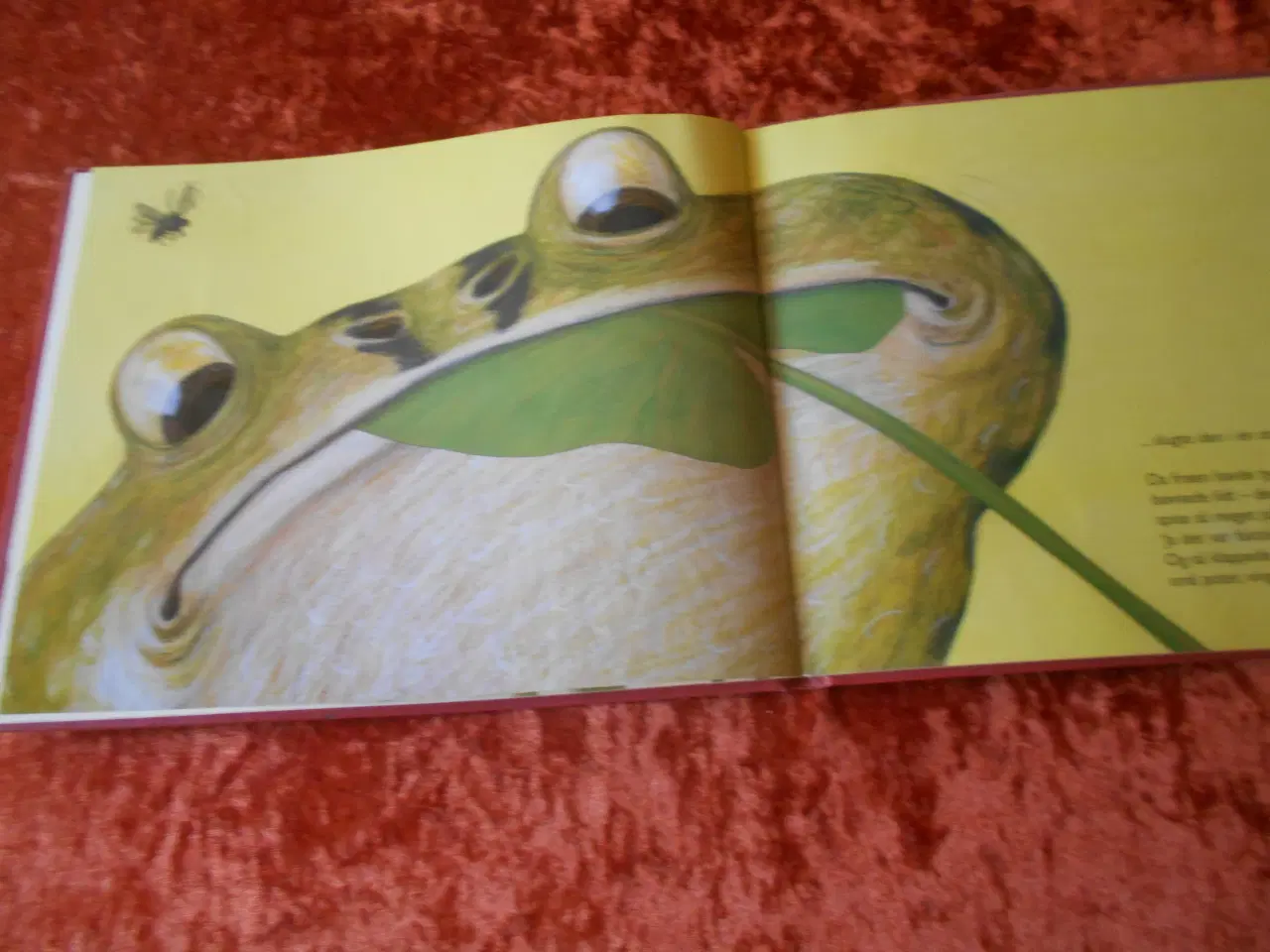 Billede 3 - Hvem er modigst?, Lorenz Pauli,