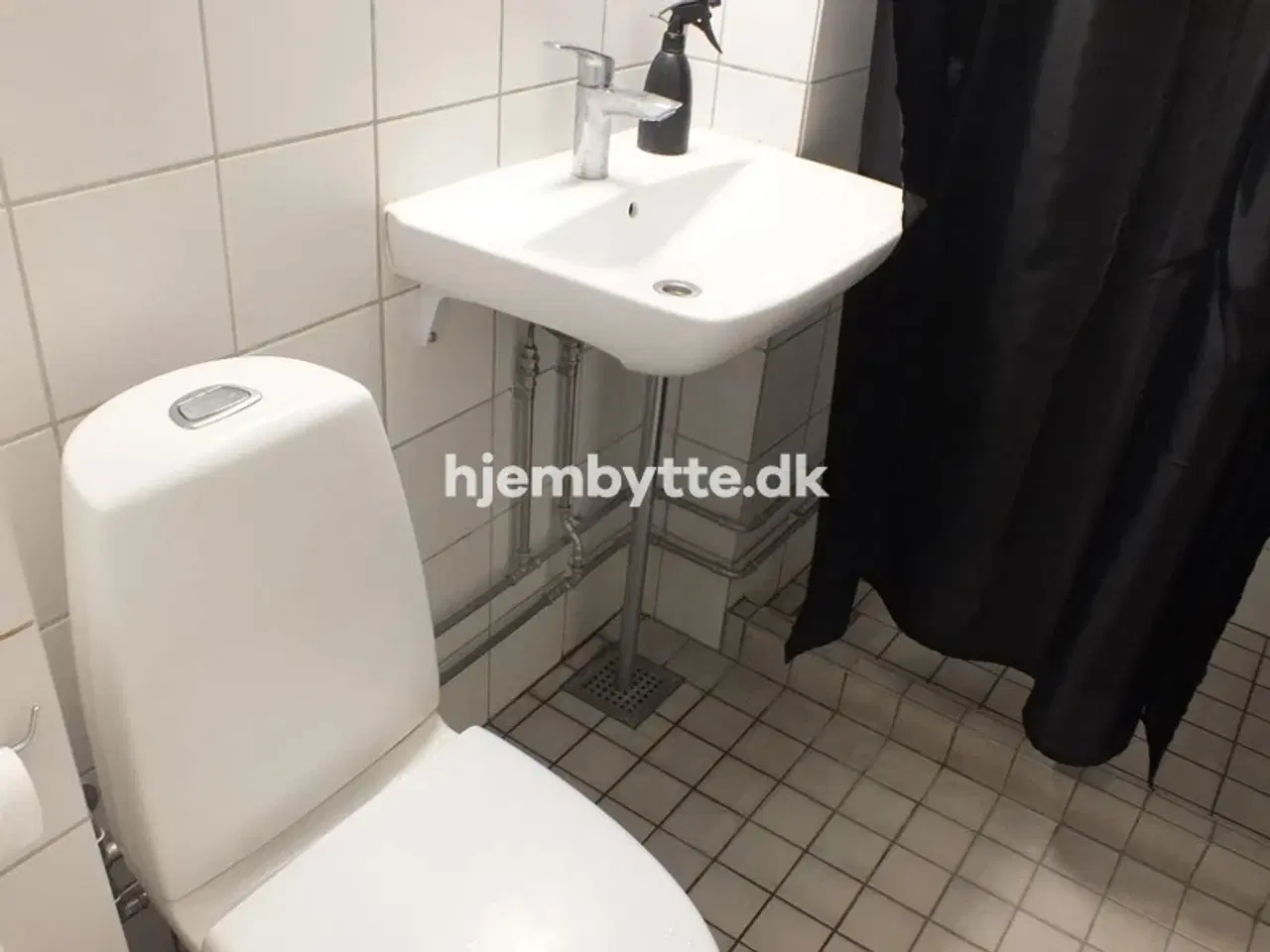 Billede 9 - Hjembytte - Fredskovhellet