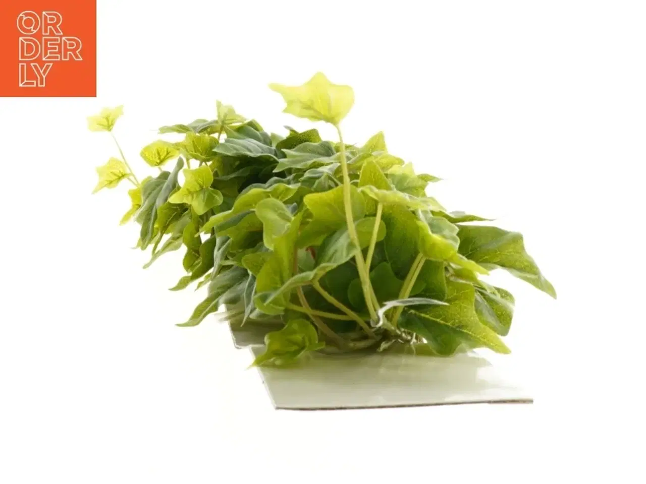 Billede 5 - Kunstig efeu blad ranke fra A market (str. 180 cm)