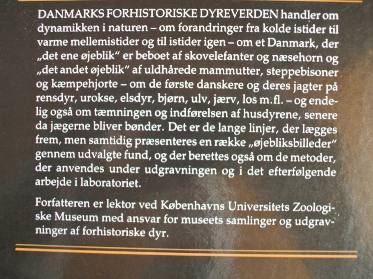 Billede 2 - danmarks forhistoriske dyreverden - fra istid til 