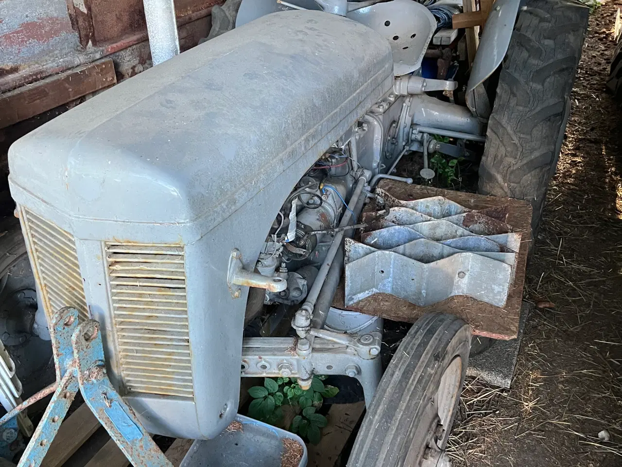 Billede 6 - Massey Harris pony. Massey Ferguson 31