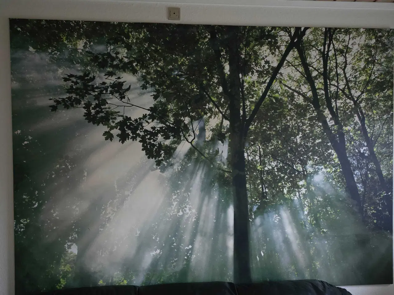 Billede 2 - Rigtig flot skov Billed på Lærred 