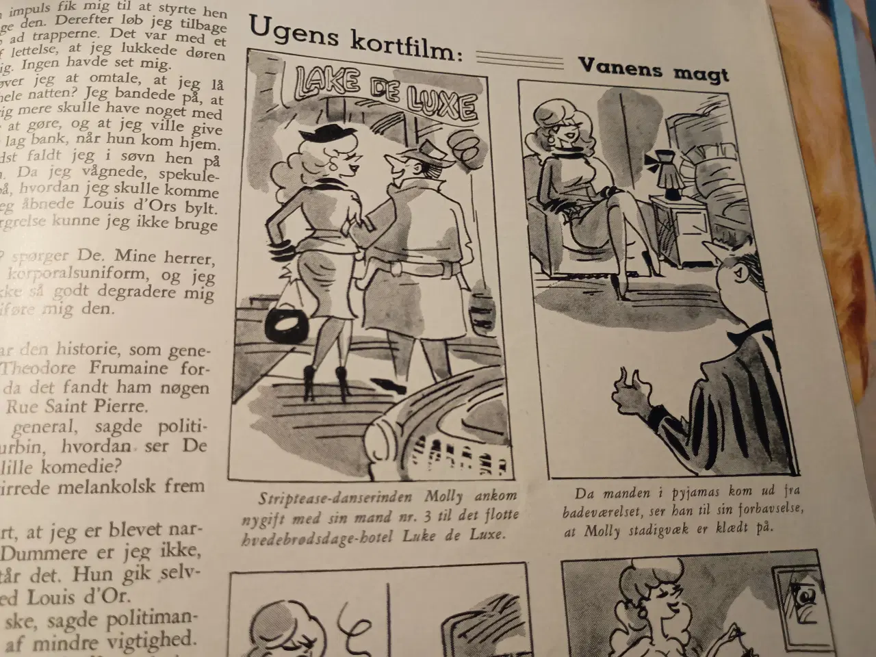 Billede 13 - Varieté, novelle og vittighedsbladet.