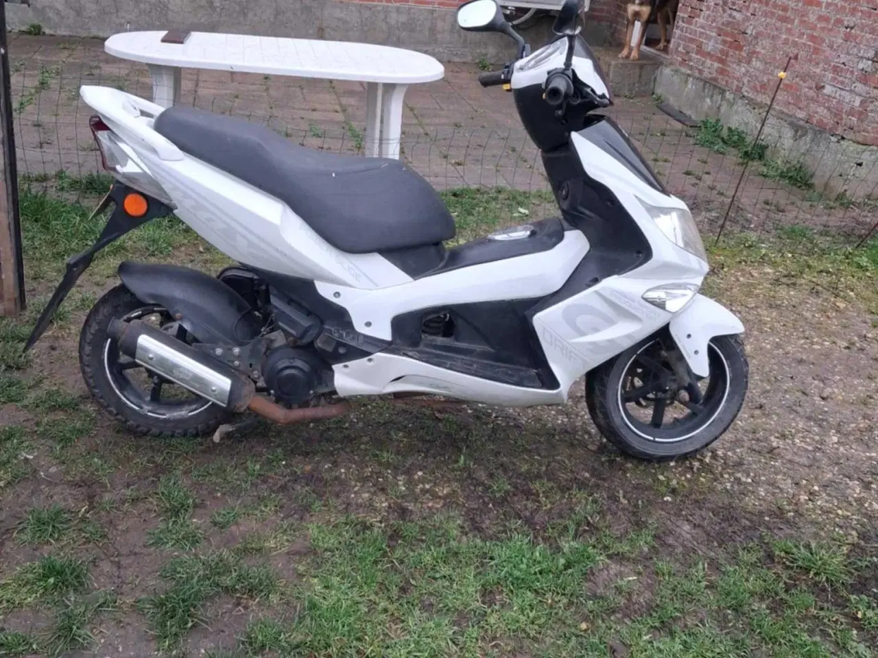 Billede 3 - Knallert 