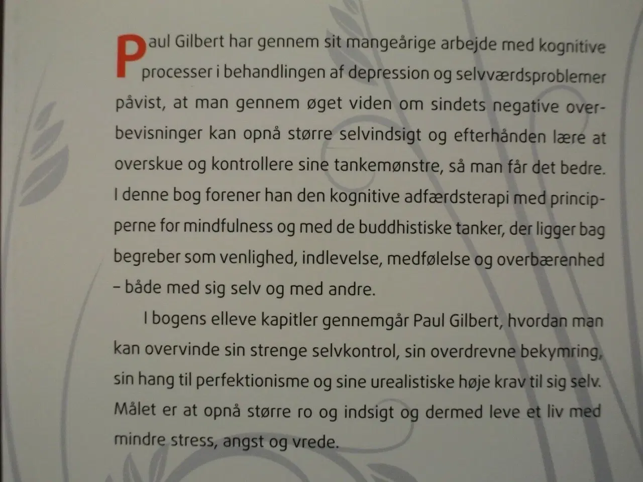 Billede 4 - medfølelse og mindfulness - fra selvkritik til sel