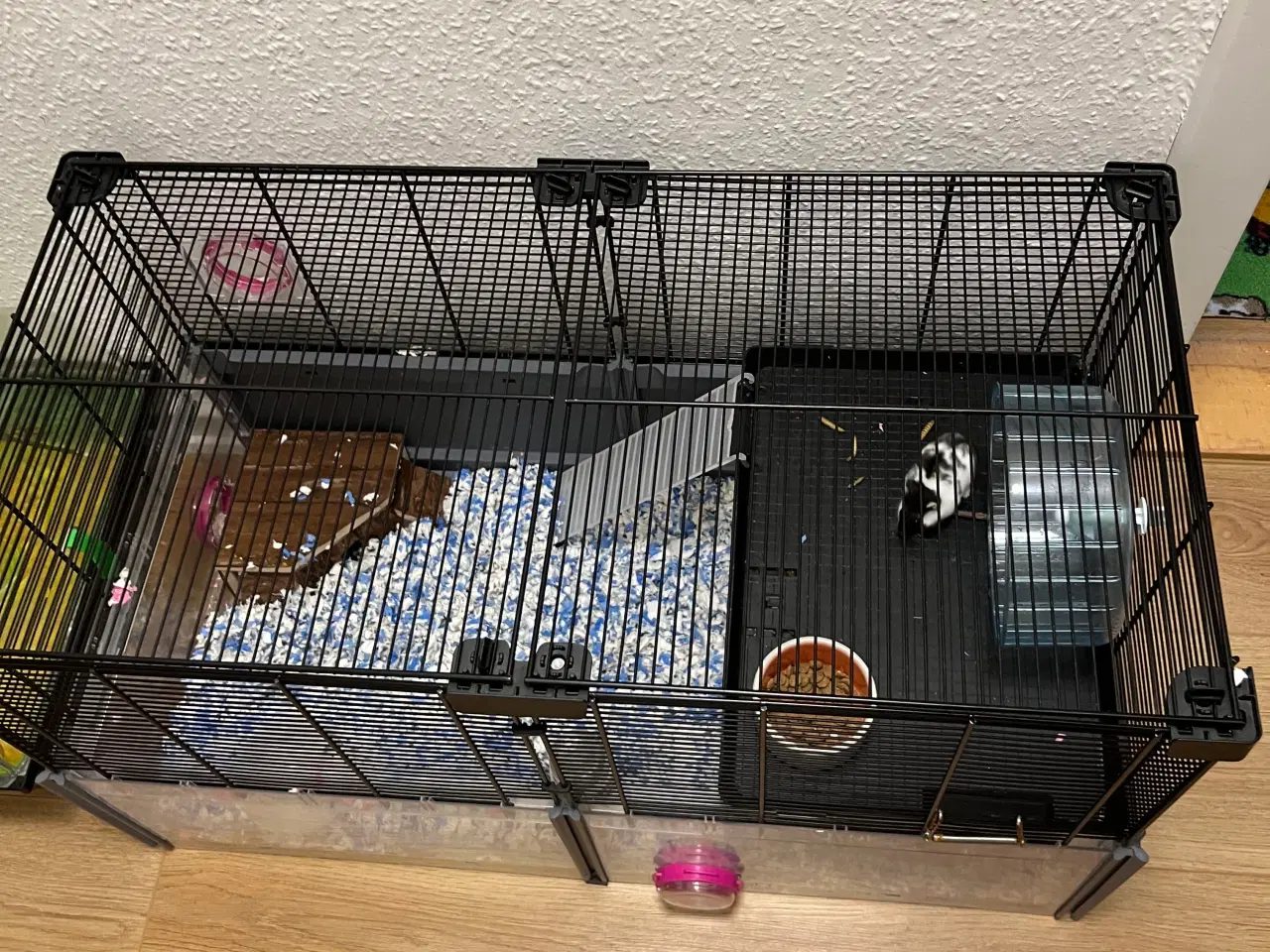 Billede 1 - Bur med hamster 