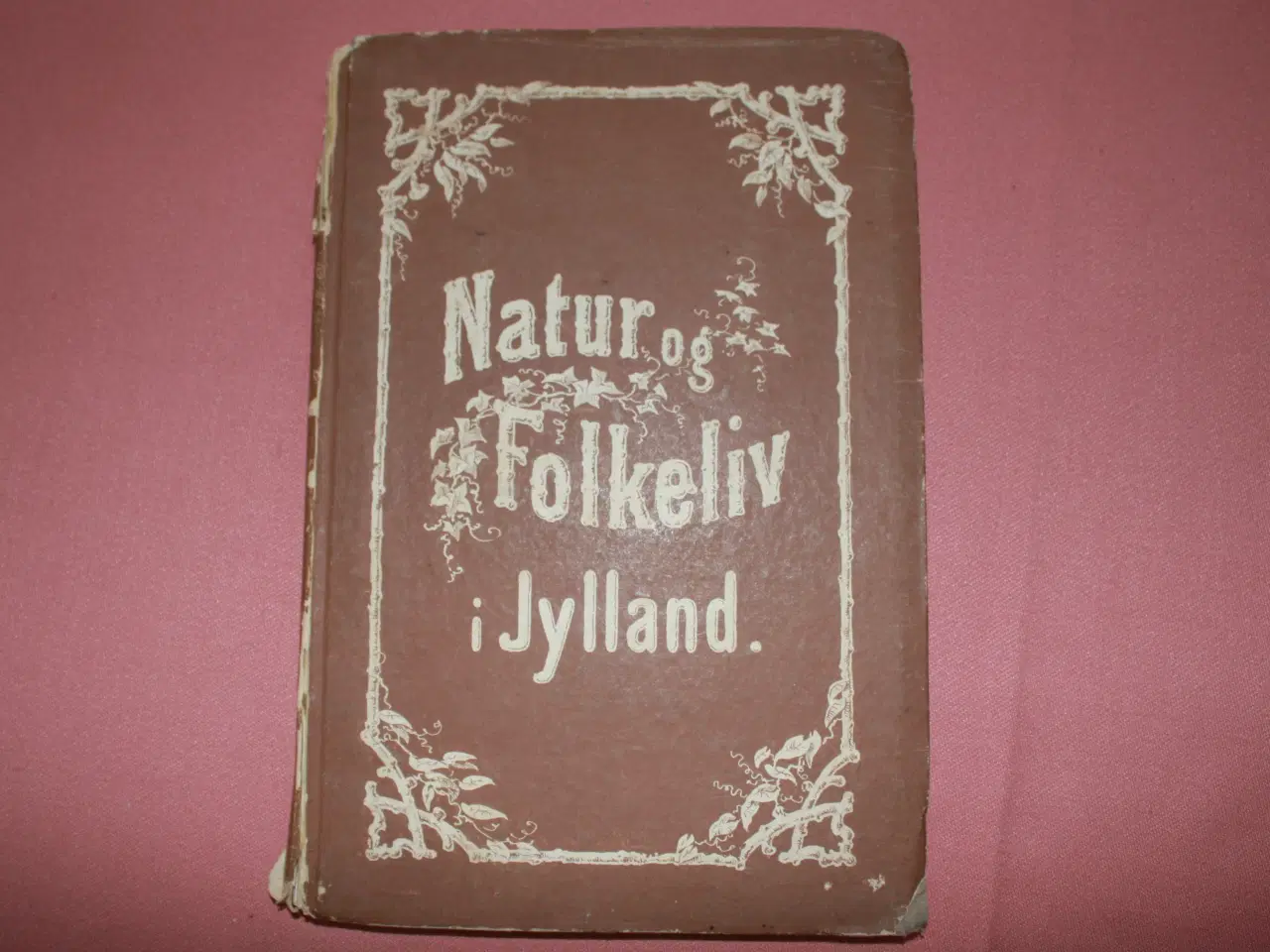 Billede 1 - Bog, "Natur og Folkeliv i Jylland"